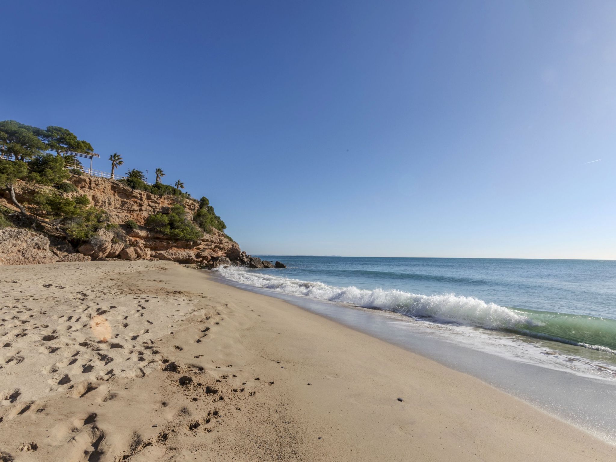 Photo of Los Delfines