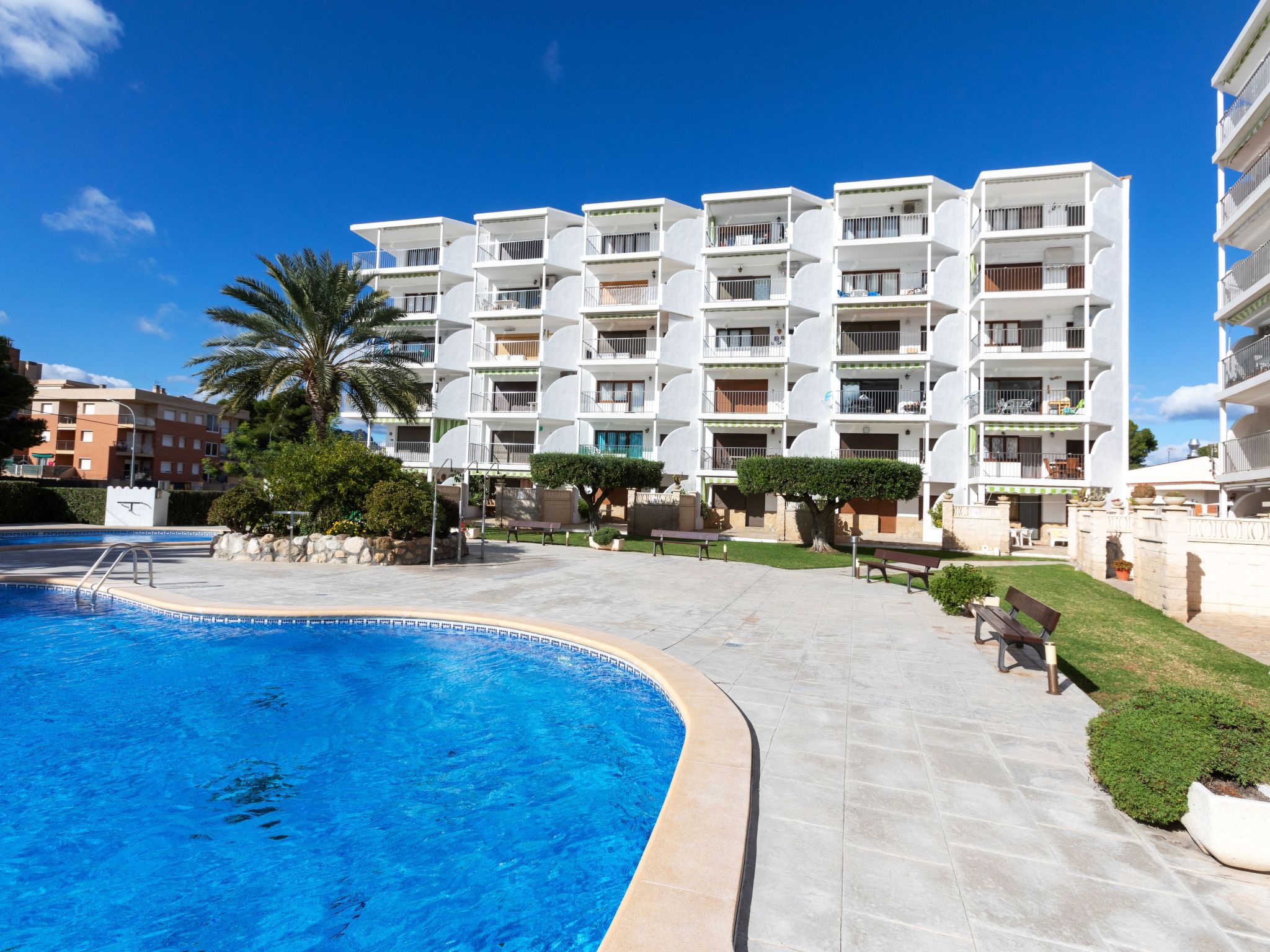 Photo of Las Mimosas