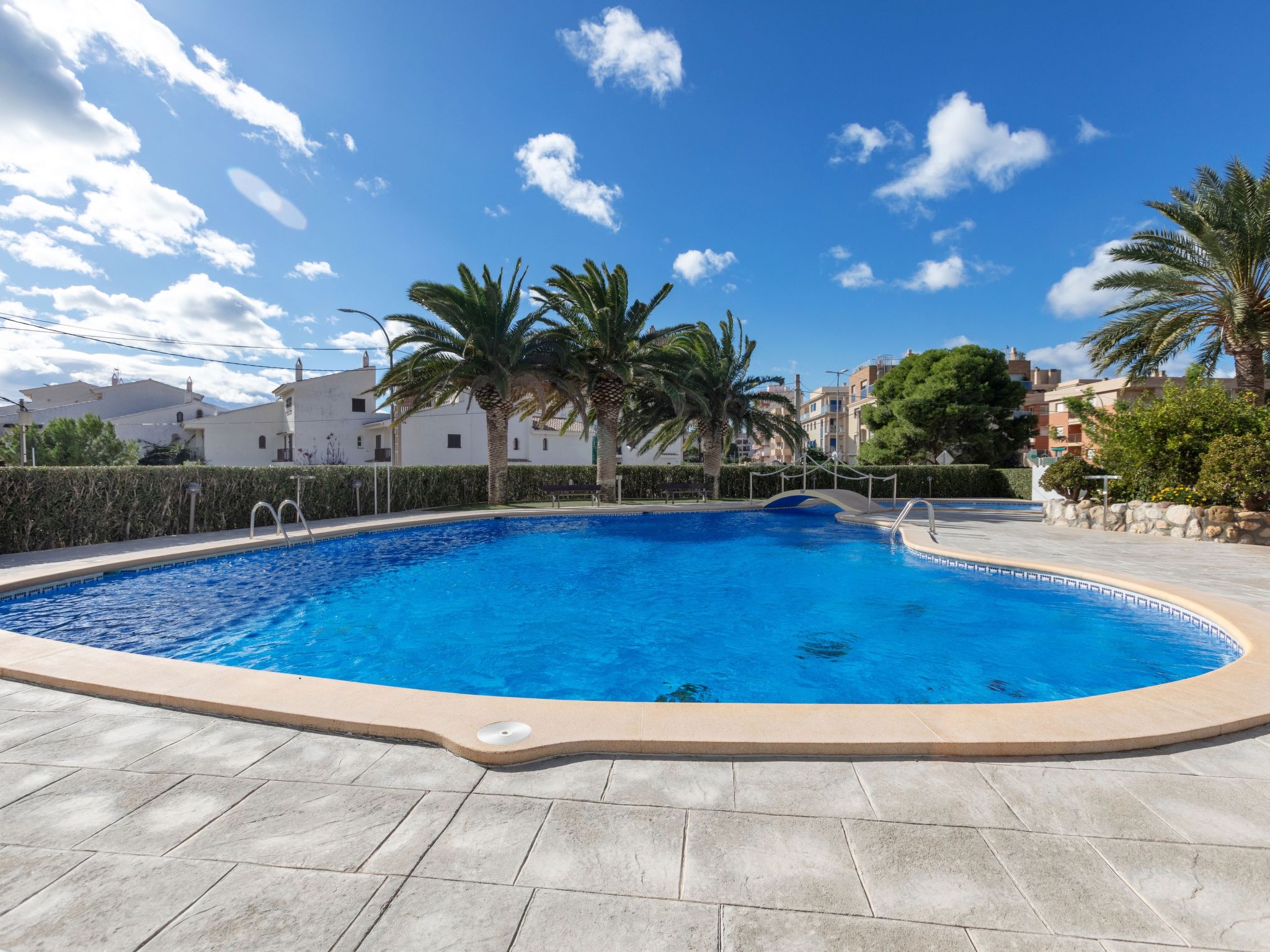 Photo of Las Mimosas