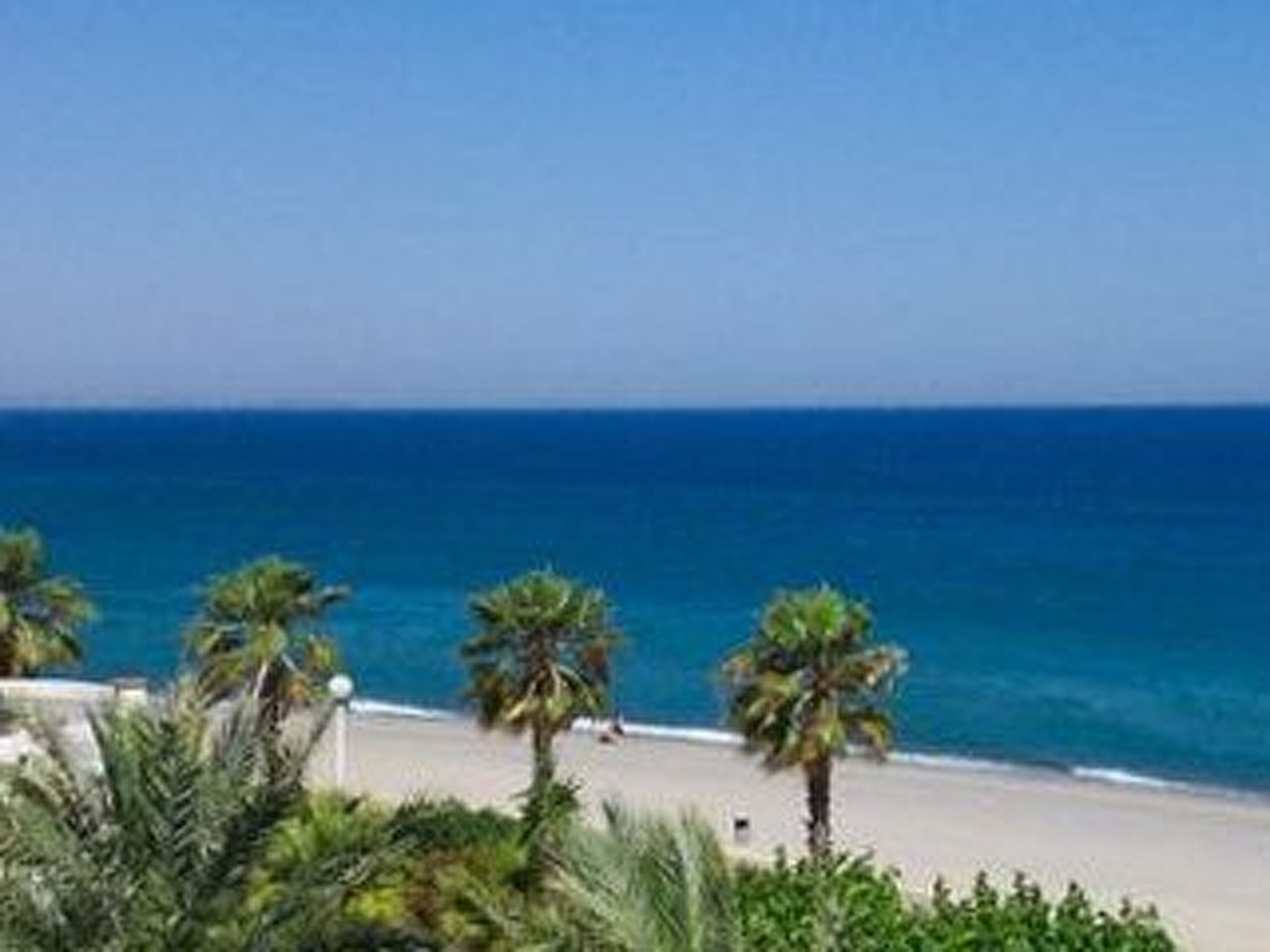 Marisol-Image-tags.info