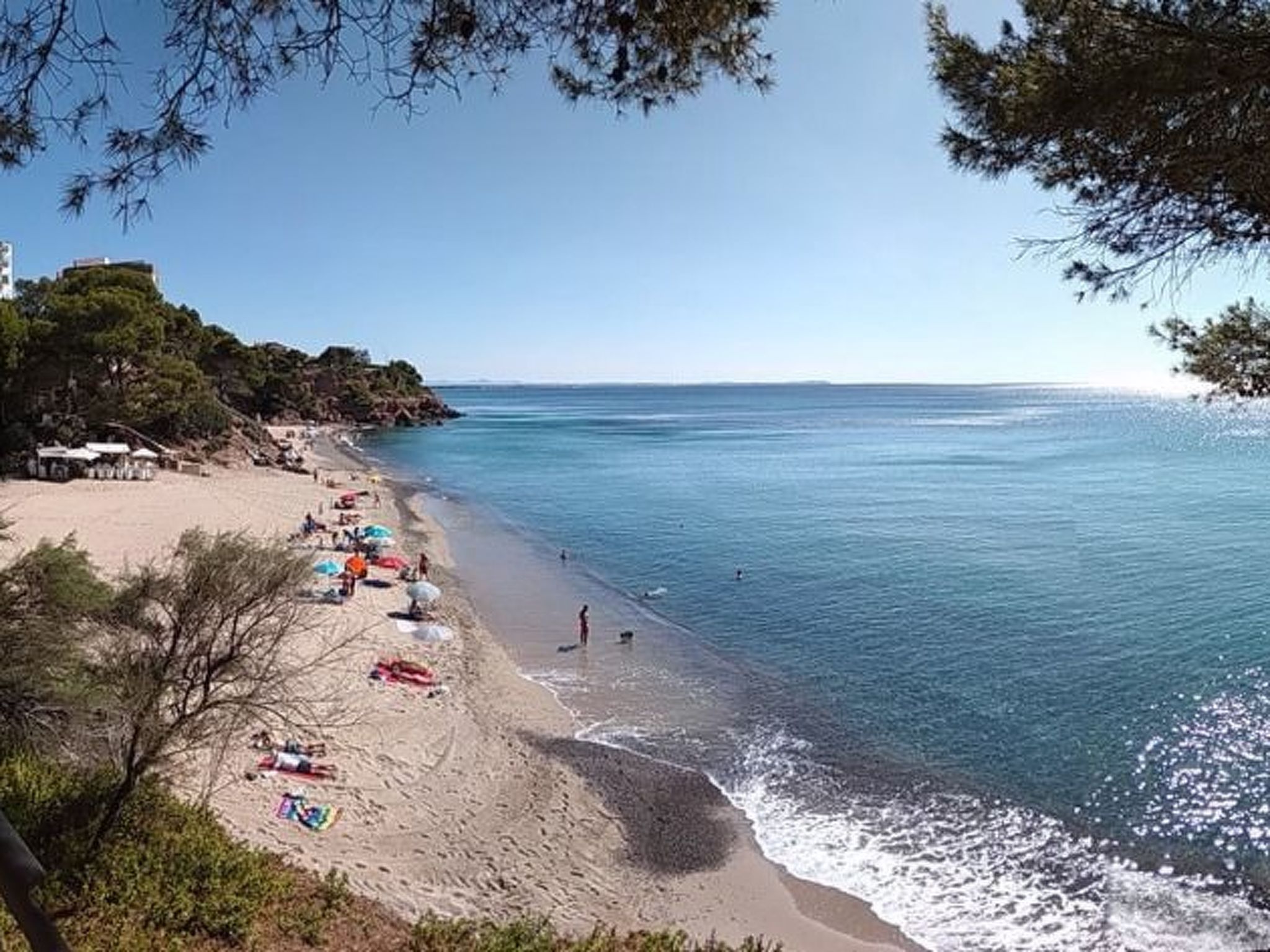 Laura-Image-tags.info