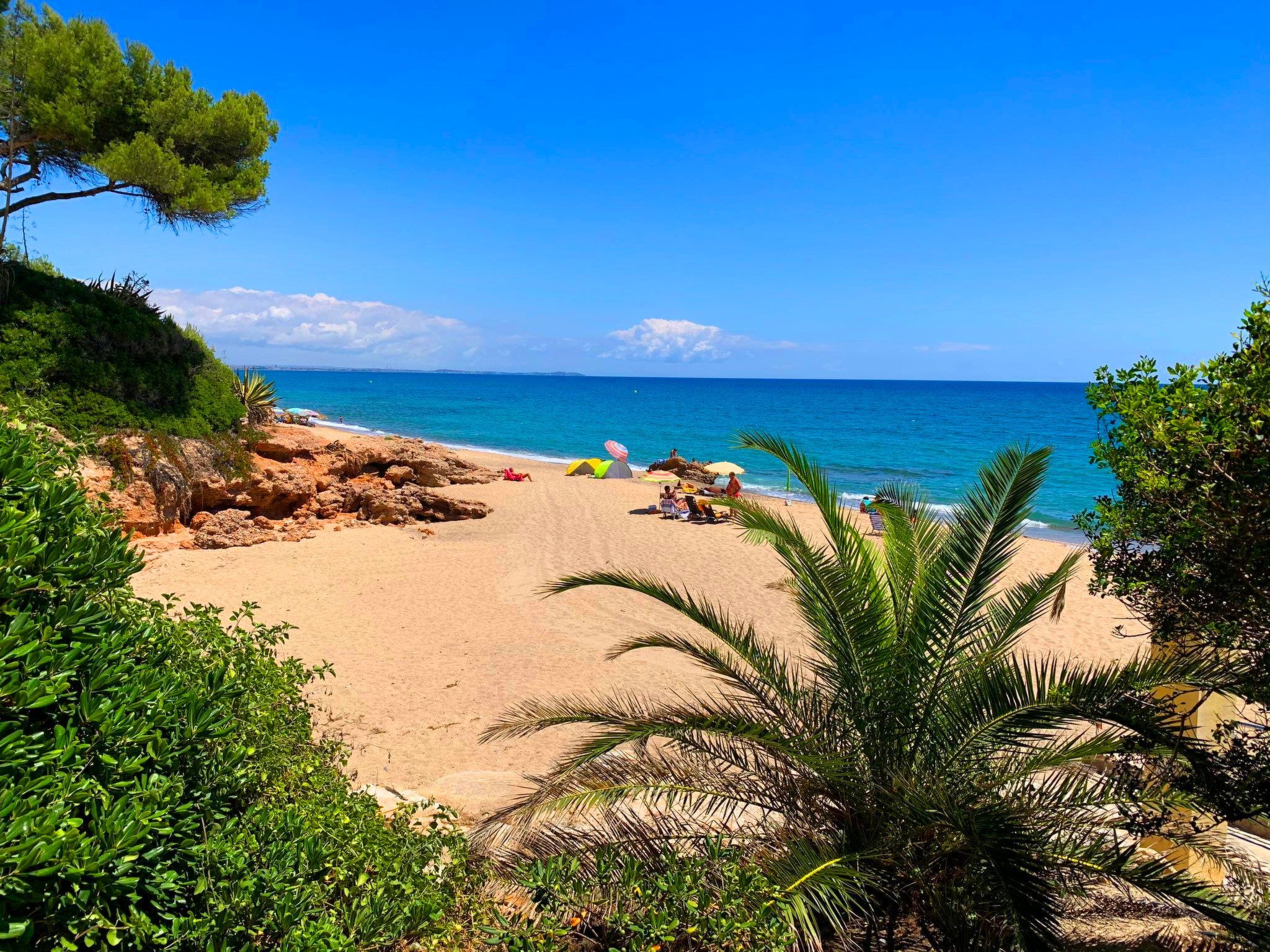 Laura-Image-tags.info