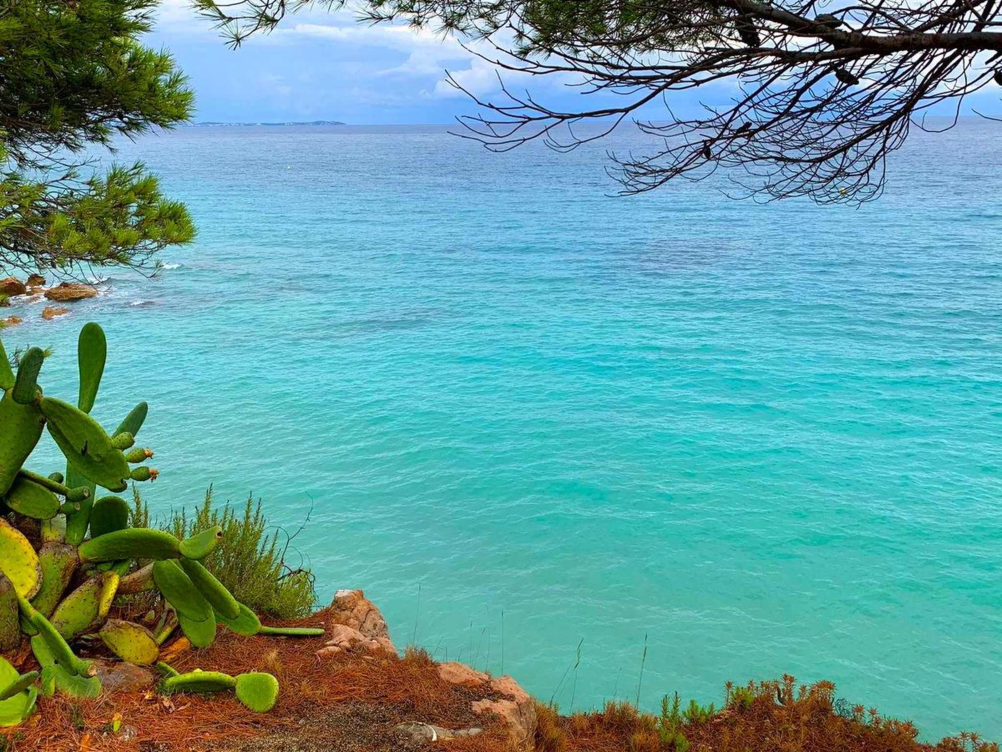 Laura-Image-tags.info