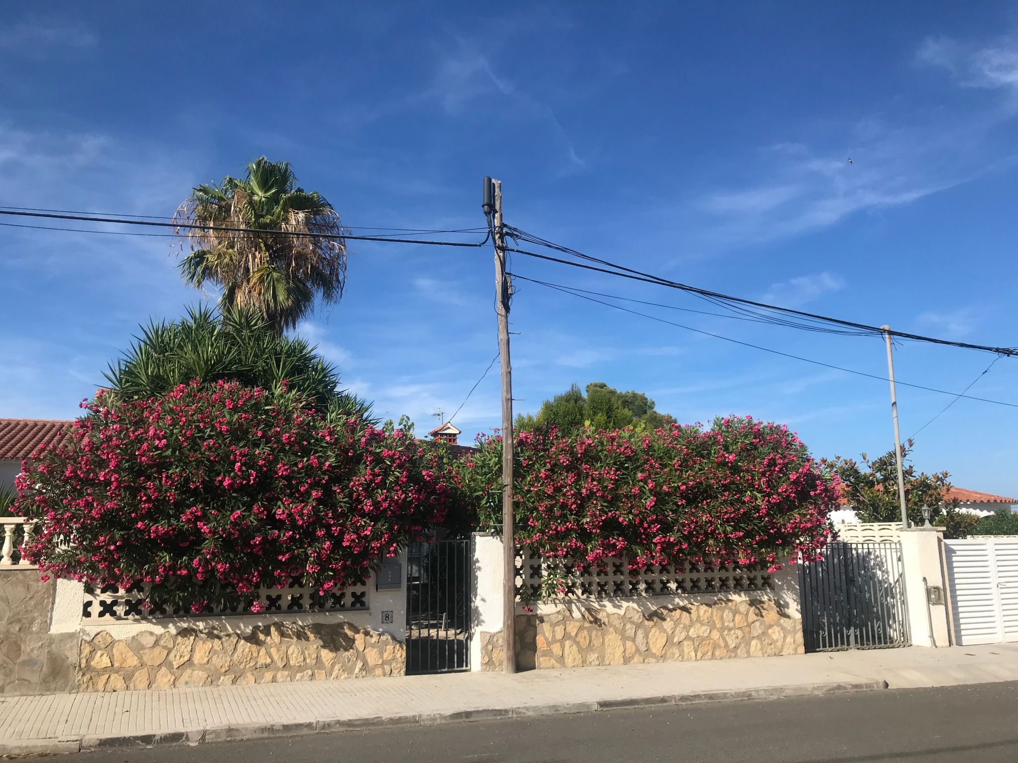 Casa Is-Image-tags.info