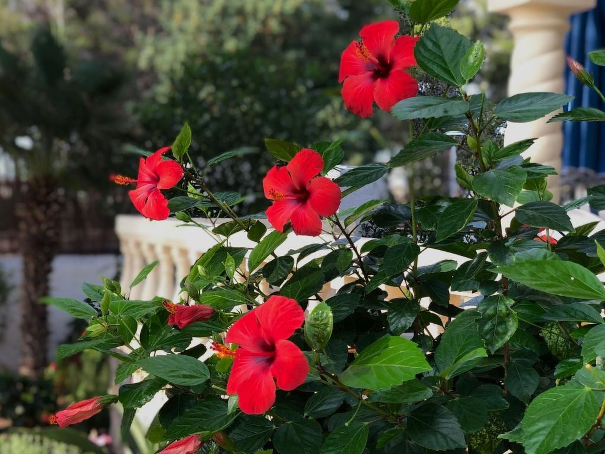 Photo of Villa mit einem Nebengebäude auf weitläufigem Garten in Strandnähe