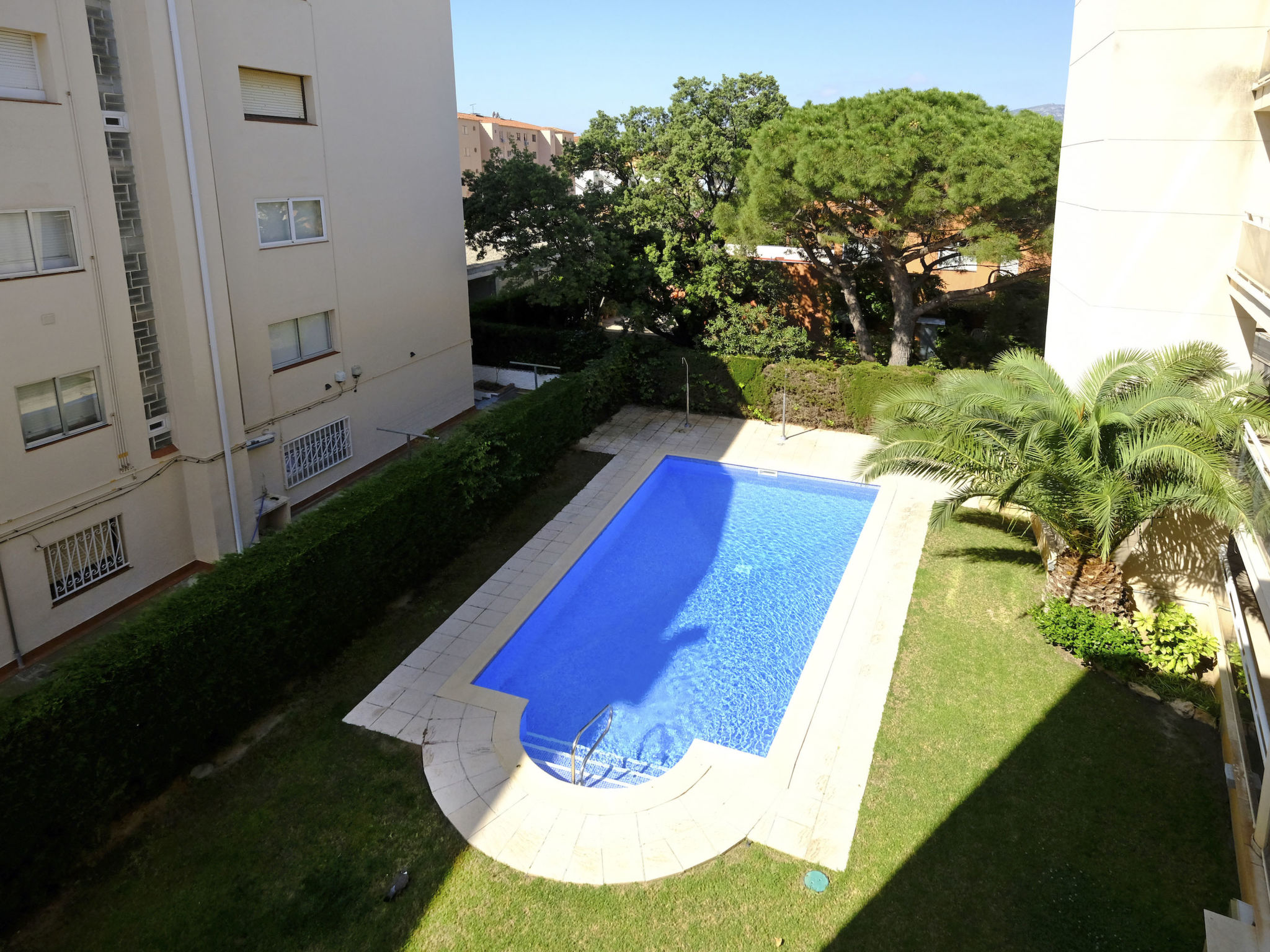 Photo of Duc Medinacelli