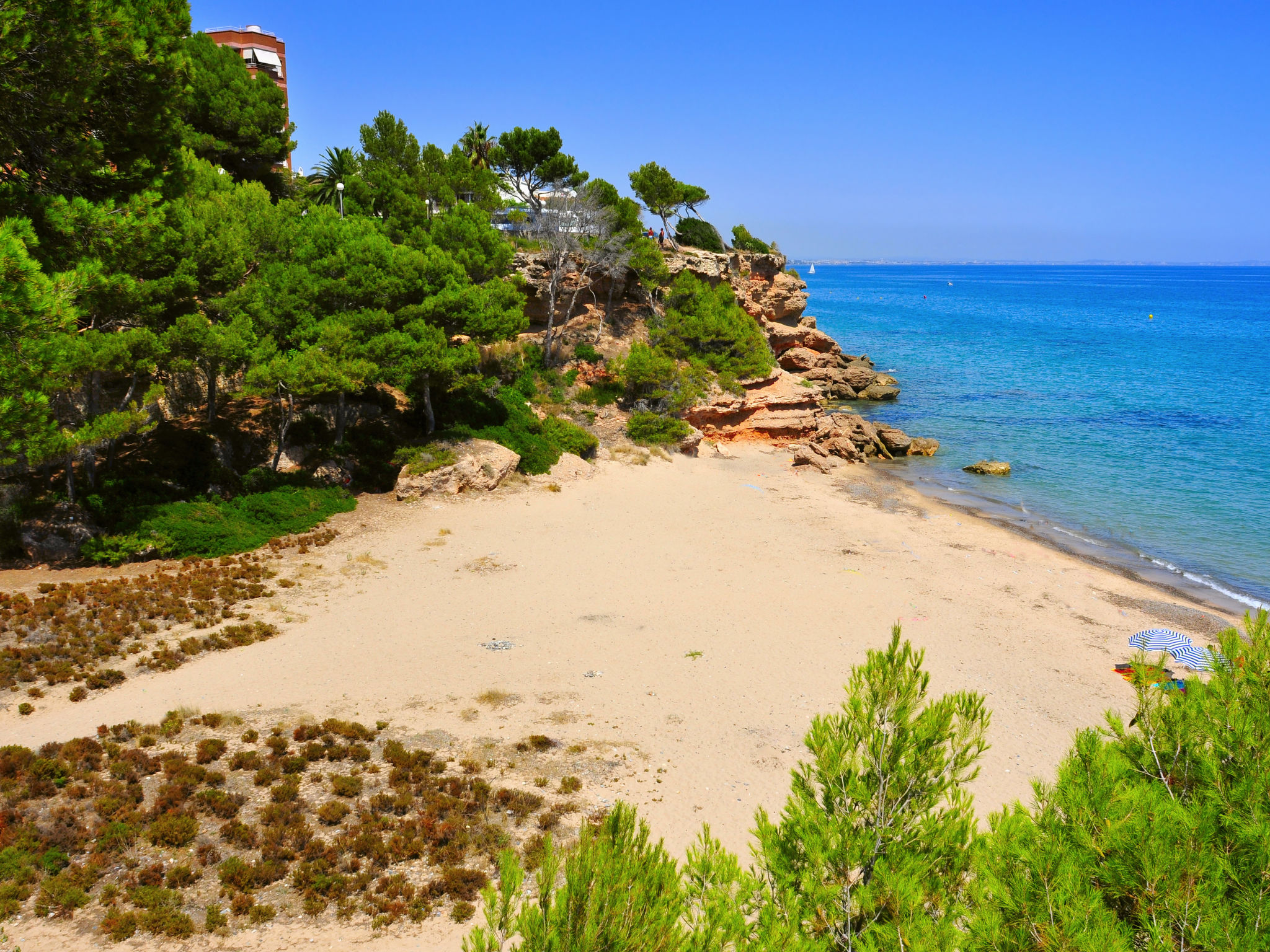Photo of Junqué-Verdure