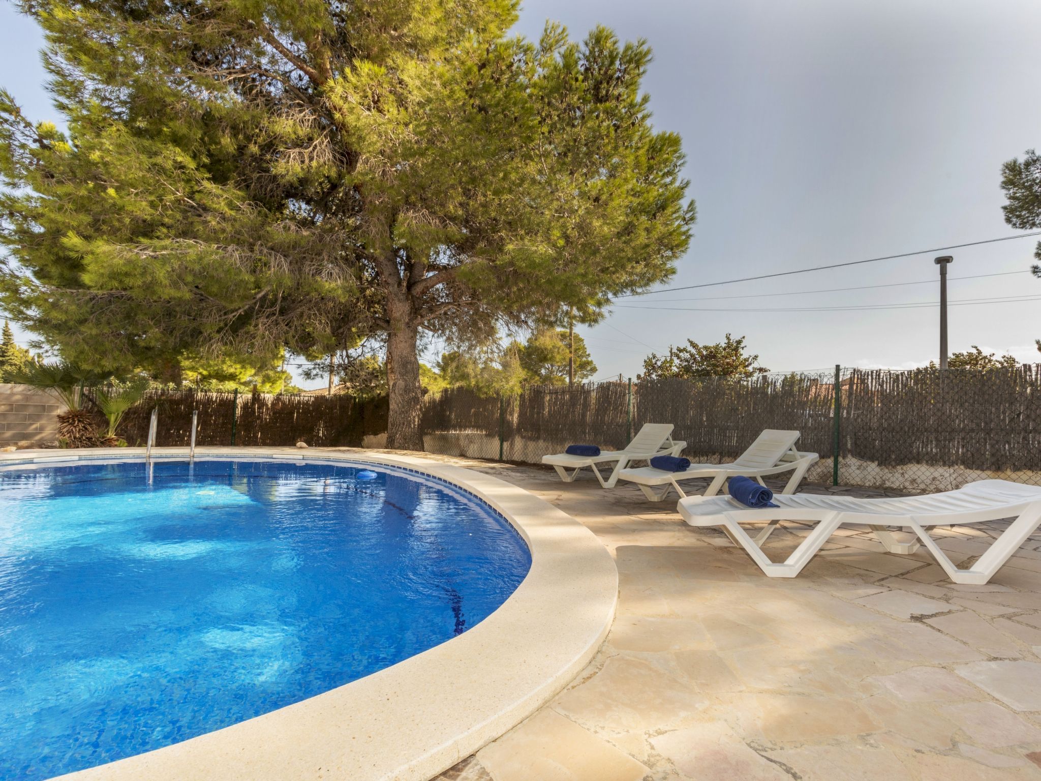 Balaguer-Dehors