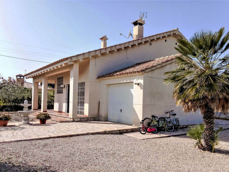 Photo of Palmera I