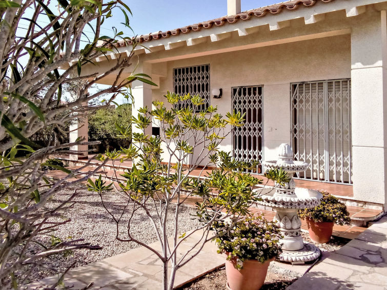 Photo of Palmera I