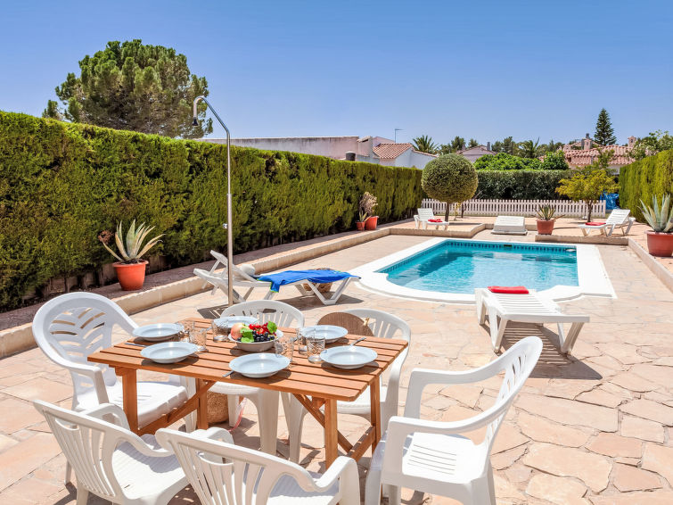 Photo of Palmera II