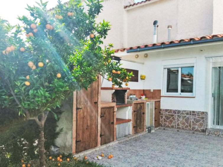 Photo of Palmera III