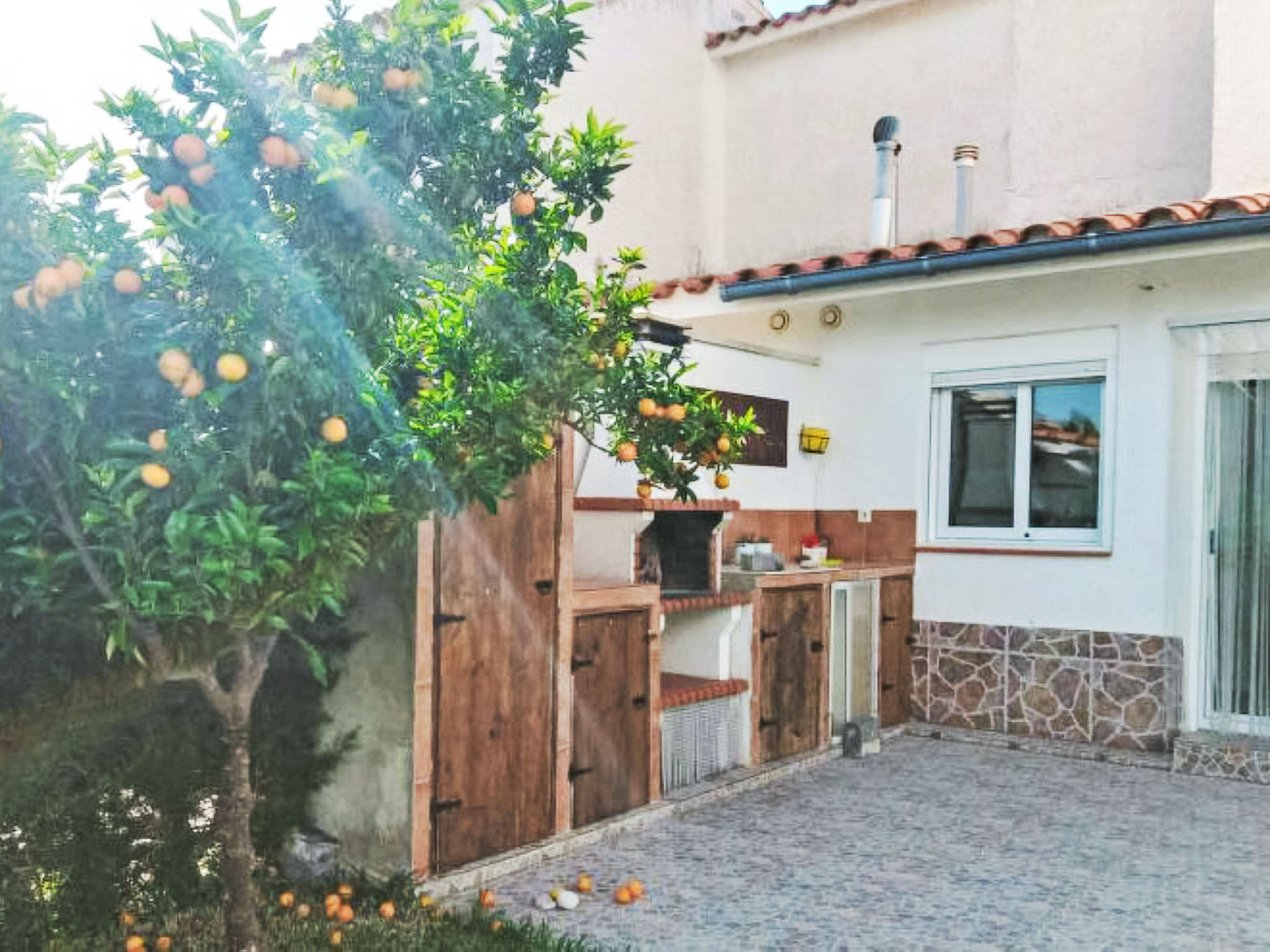 Palmera III-Outside