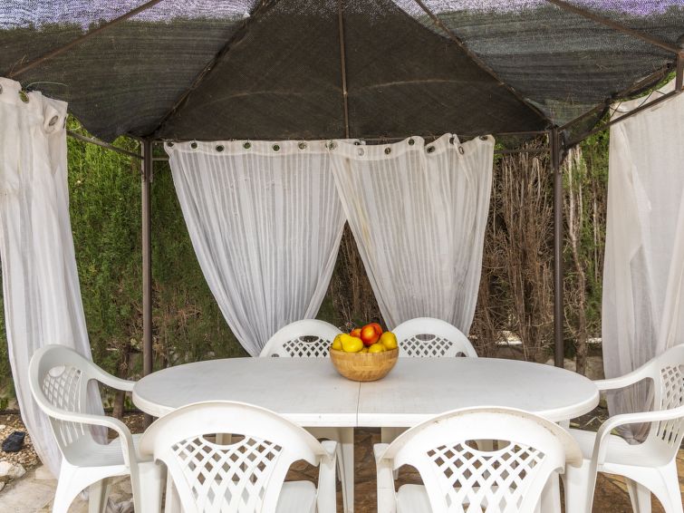 Photo of Villa Palmera IV