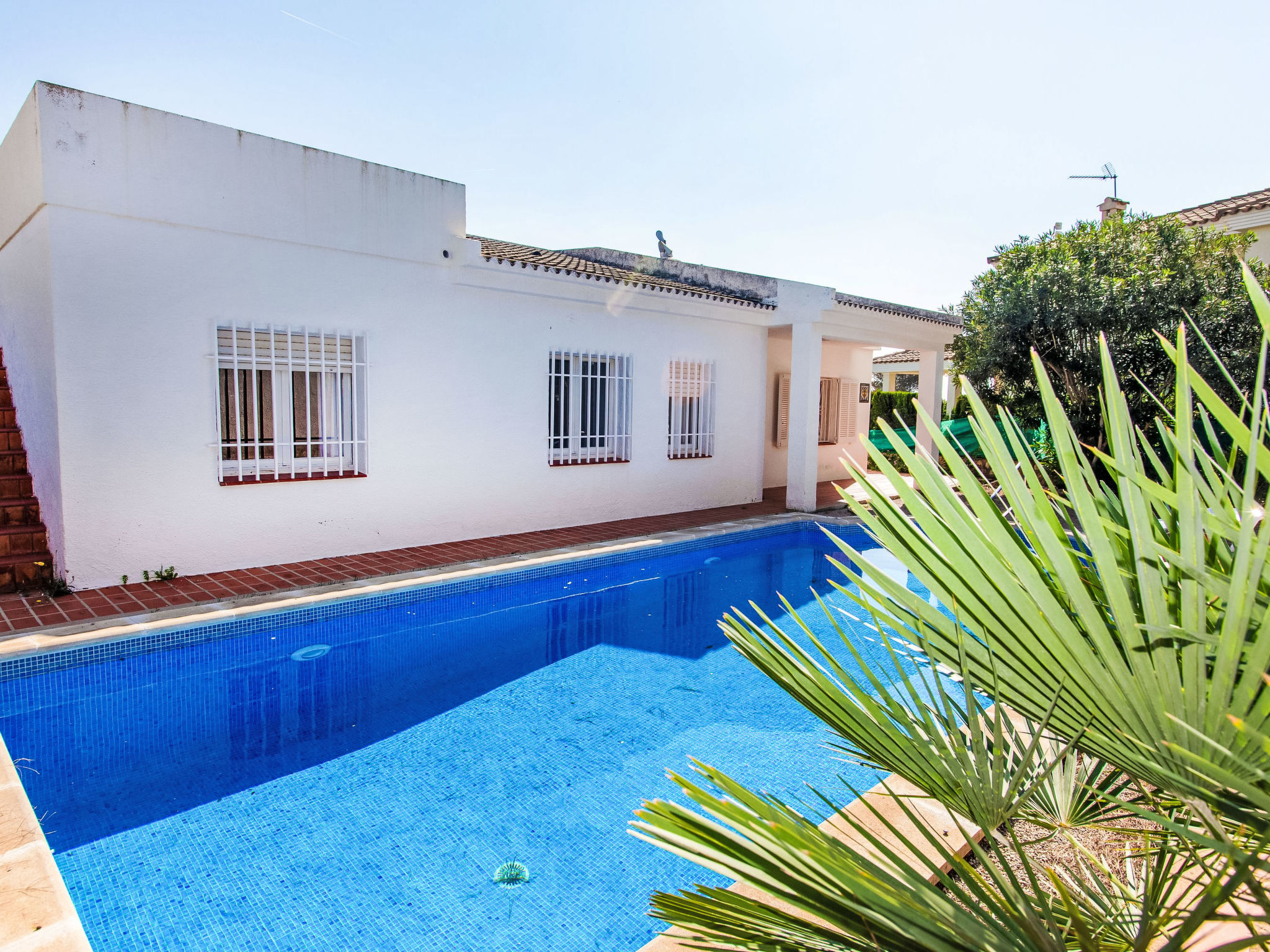 Photo of Mare Nostrum