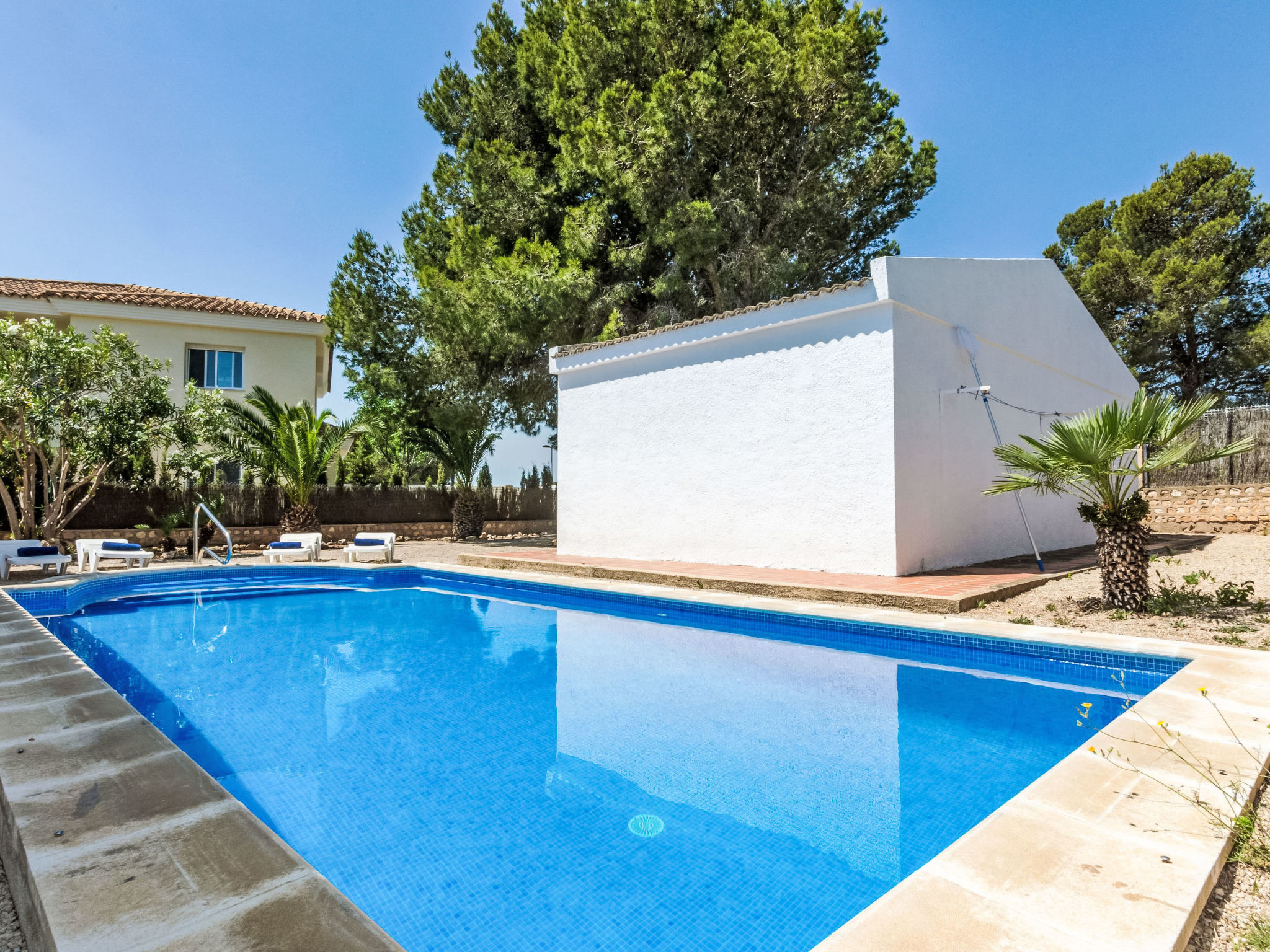 Photo of Mare Nostrum