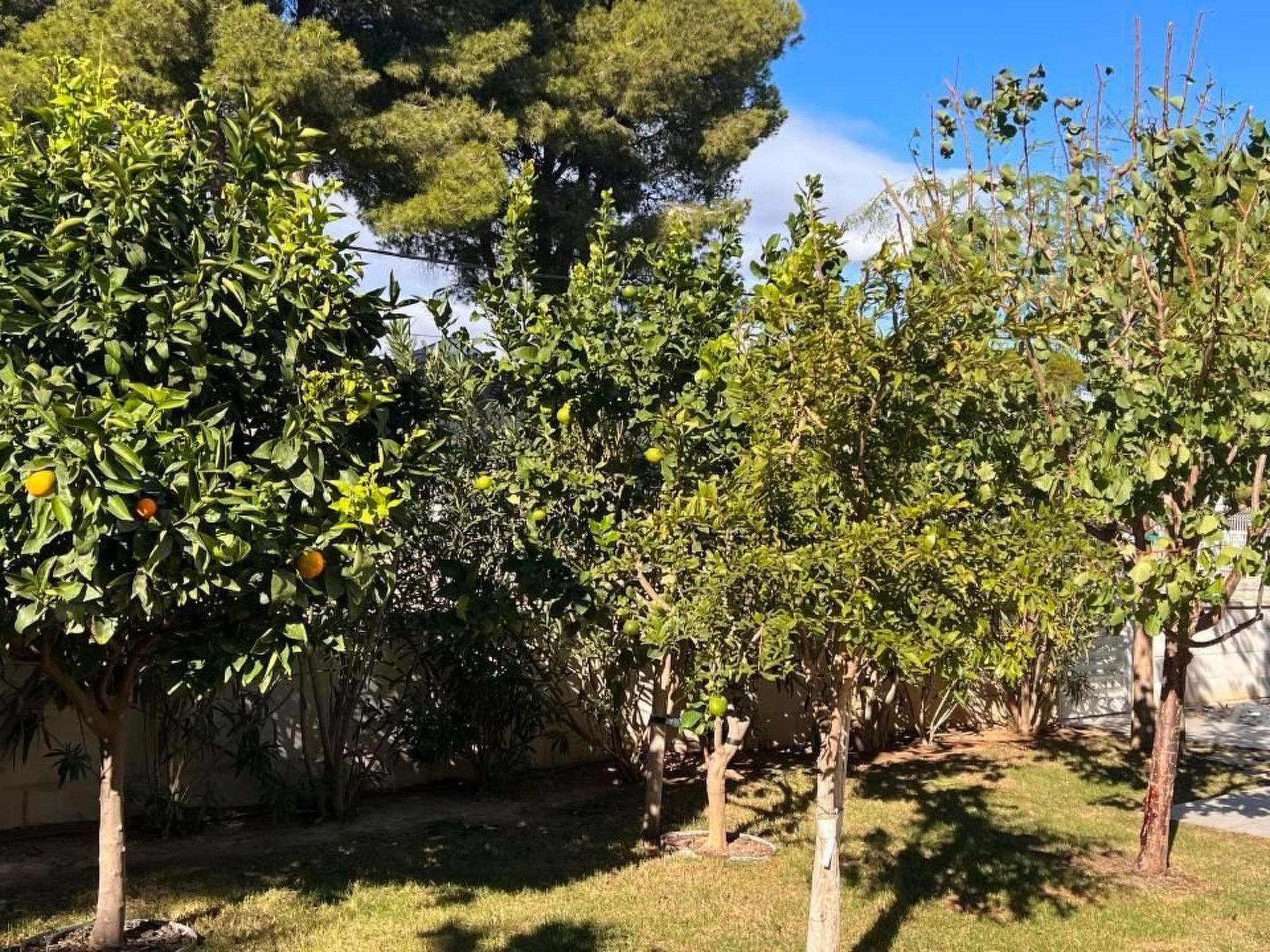 CASA TRES CALES-Image-tags.info