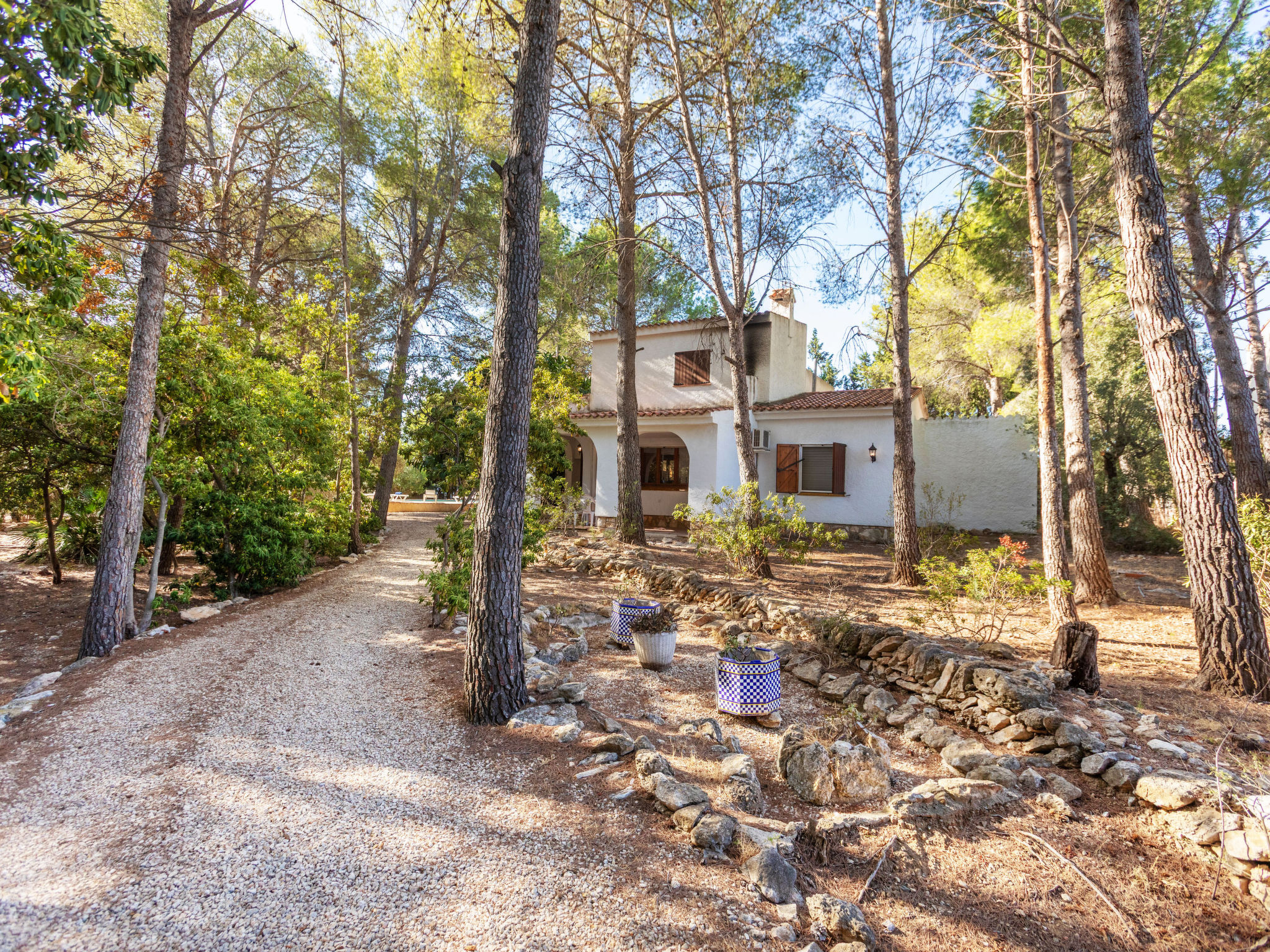 Villa Pinos - Buiten