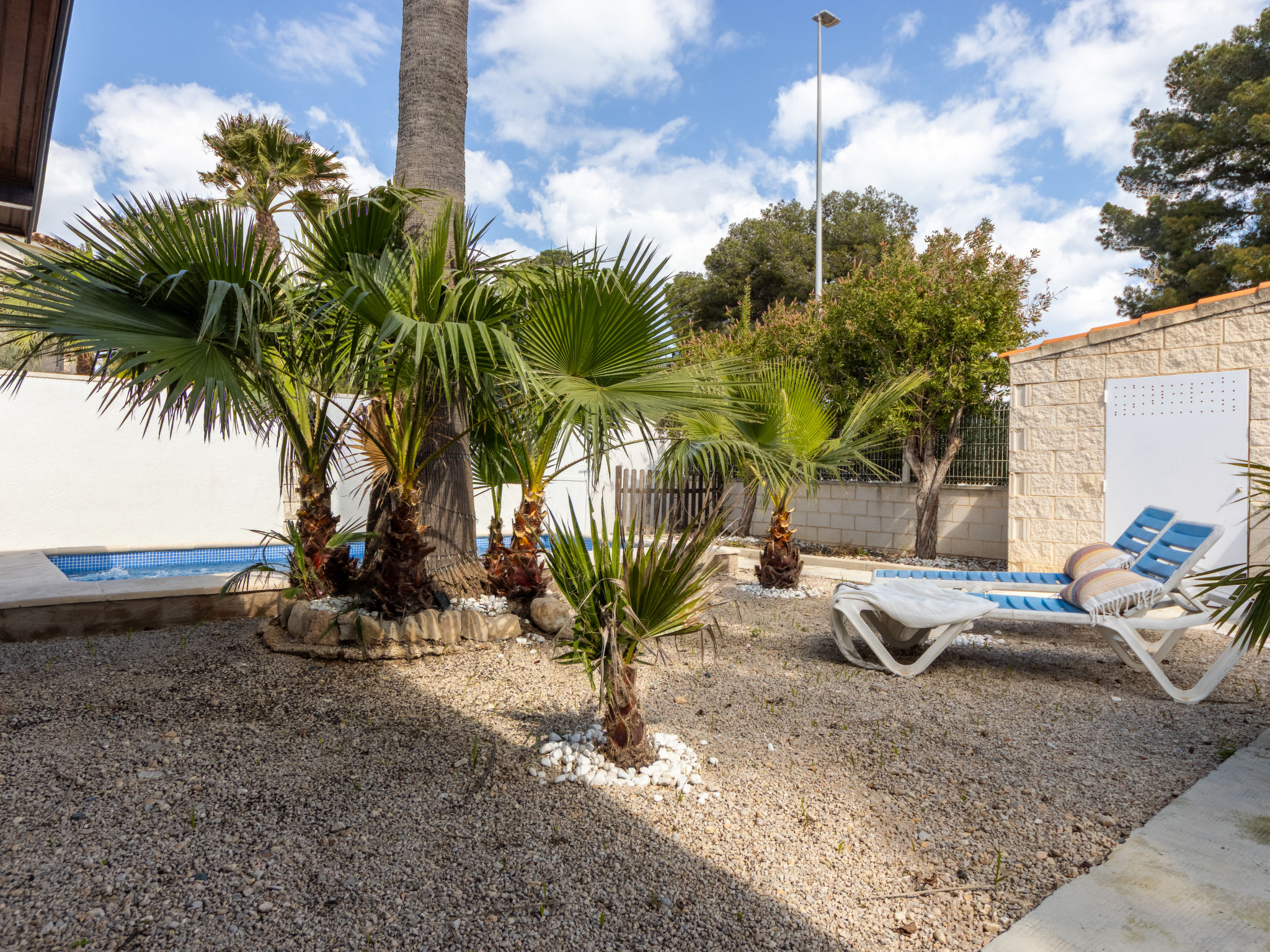 Tropical 3-Buiten
