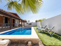 Tropical 4