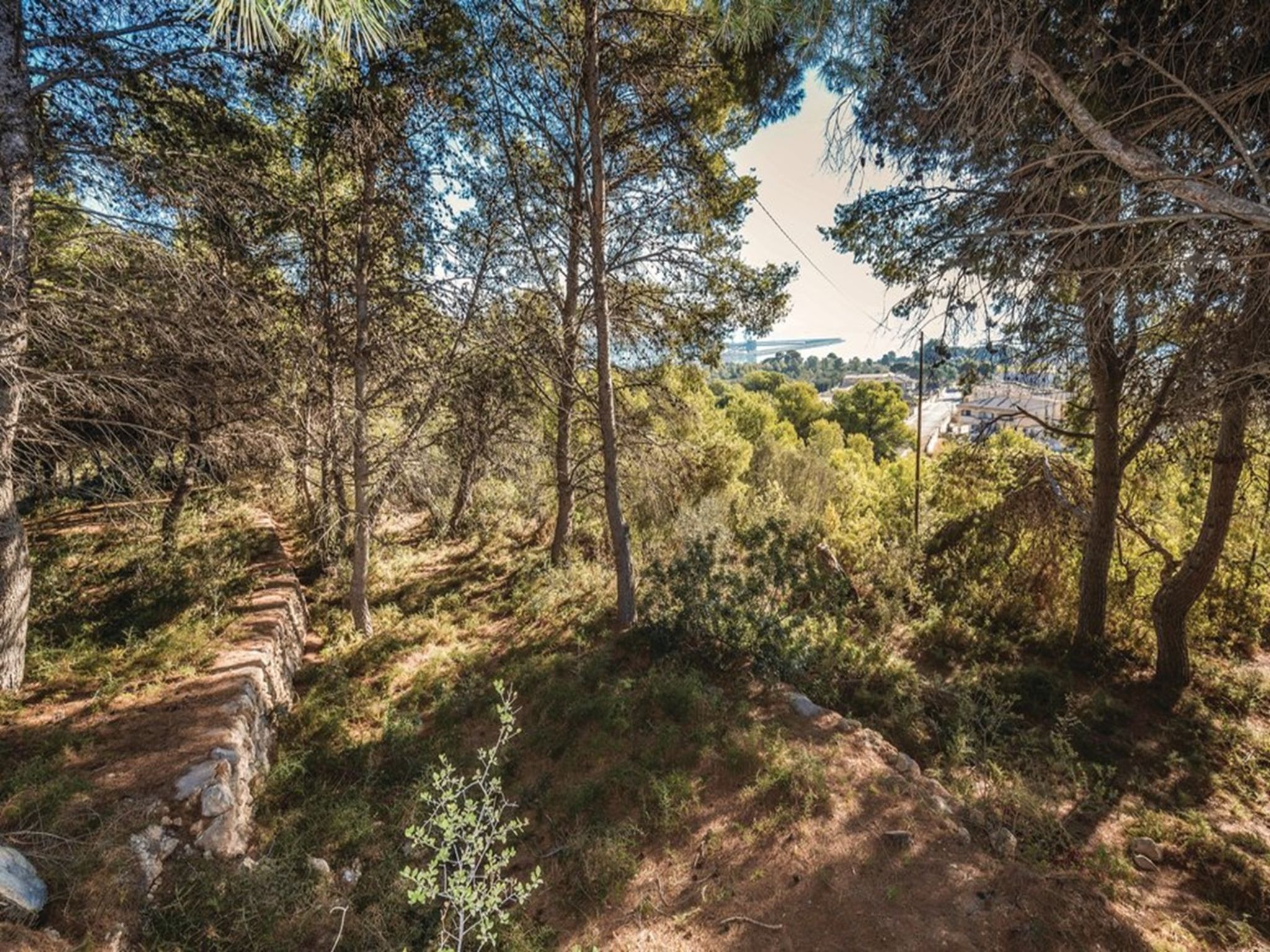 Photo of Torre Morralla