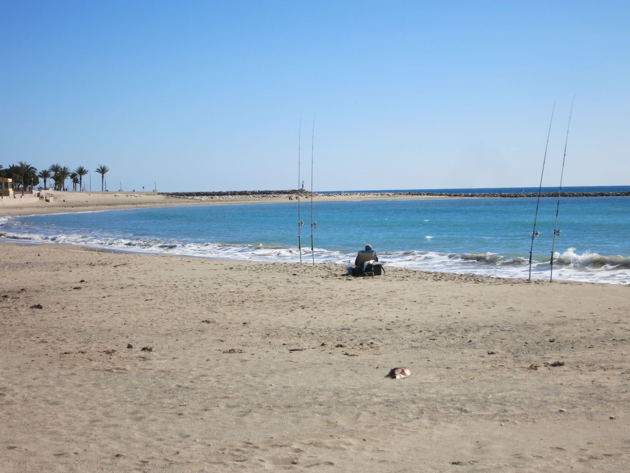 Prächtiger Meerblick-Image-tags.info