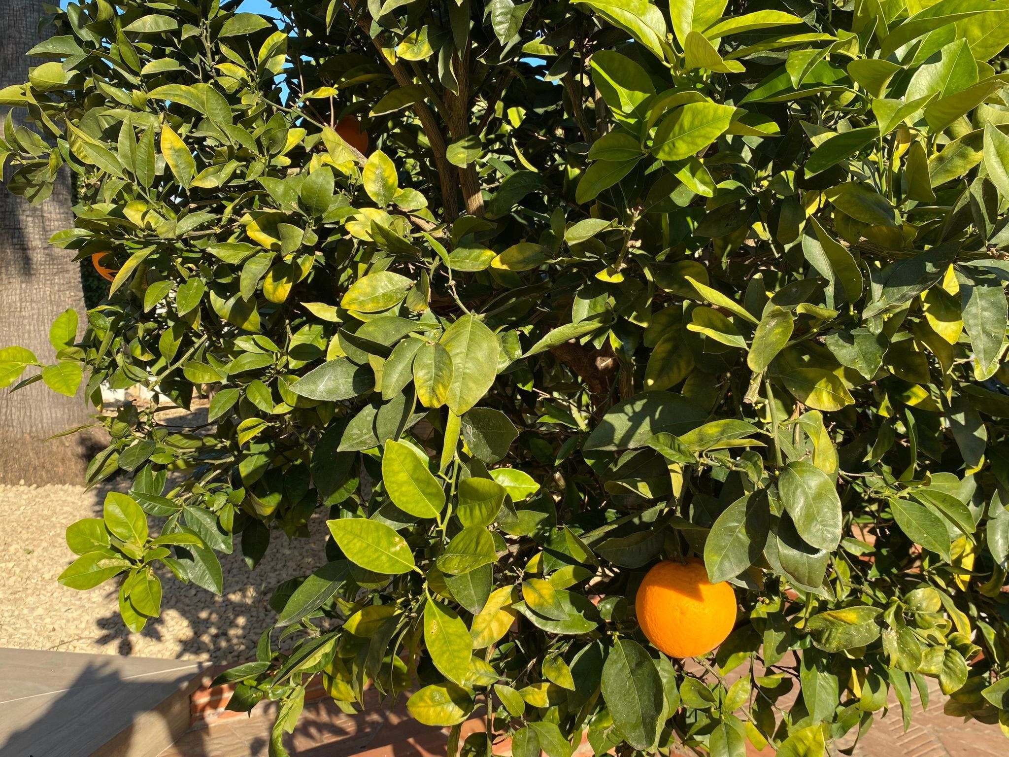 Traumvilla Revoltes-Binnen