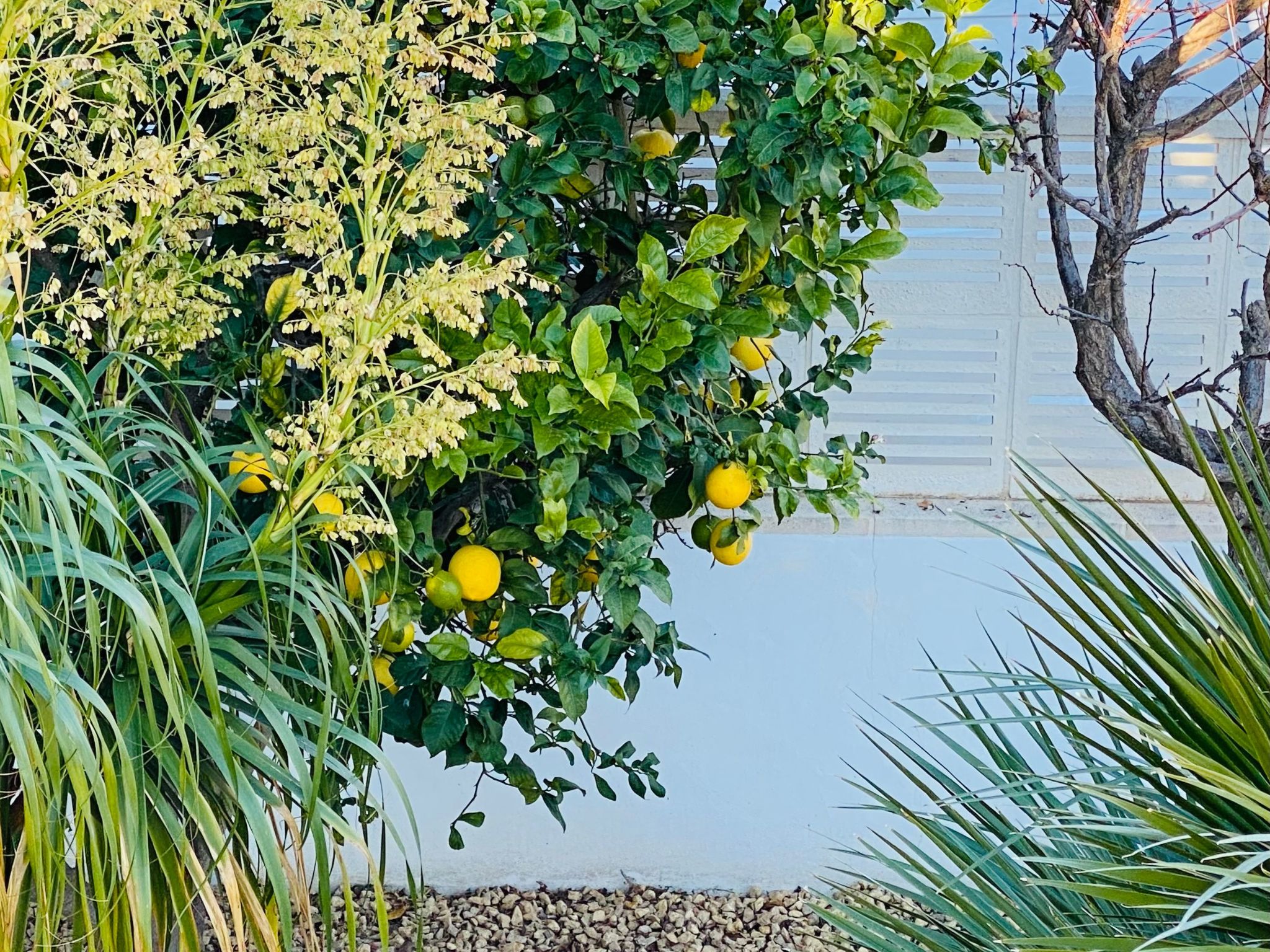 Traumvilla Revoltes-Binnen