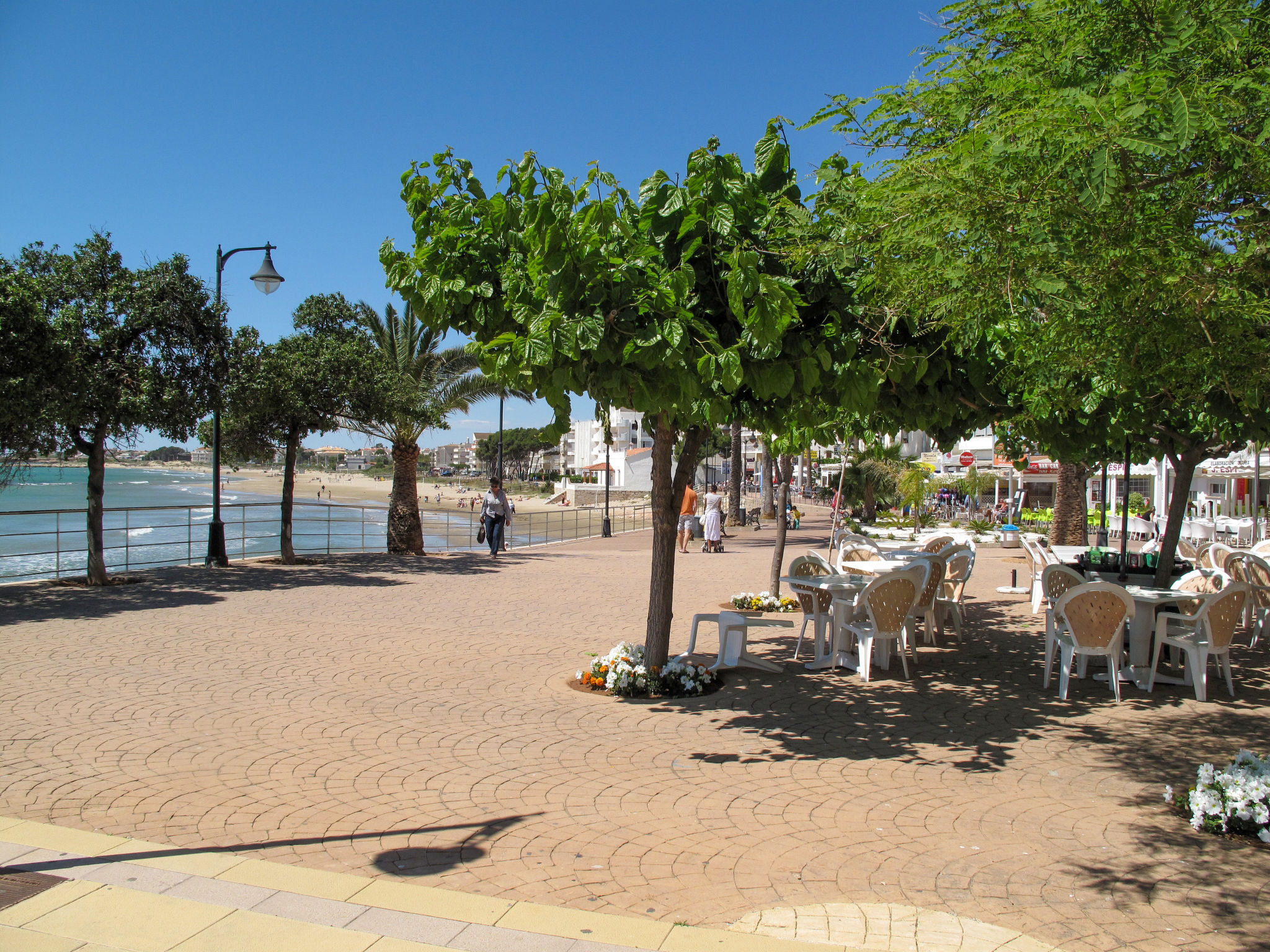 Palm Beach II - Omgeving