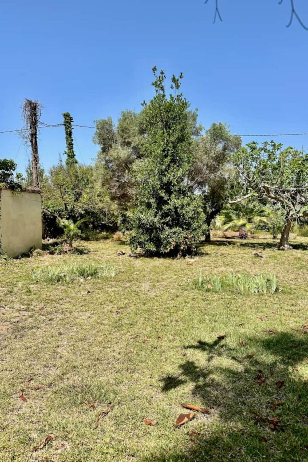 Villa Grao Benicasim REF 026-Image-tags.info