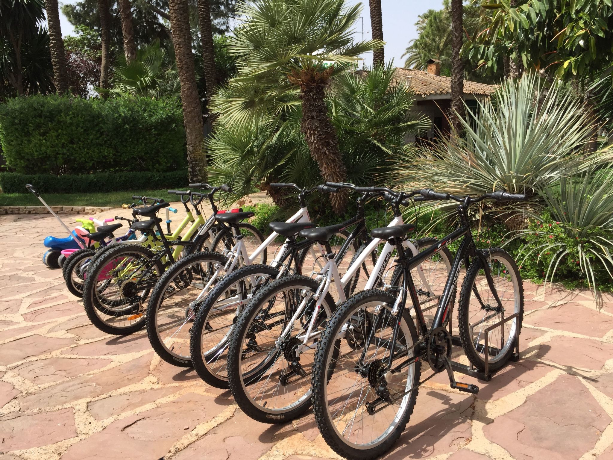 Ferienvilla El Oasis-Image-tags.info