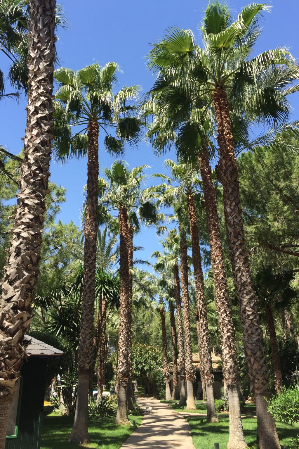 Ferienvilla El Oasis-Image-tags.info