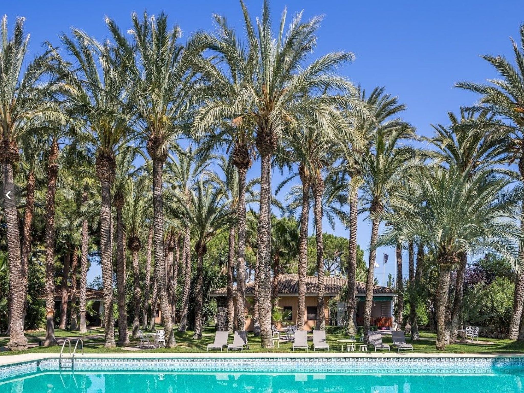 Für 8 Personen-Image-tags.info