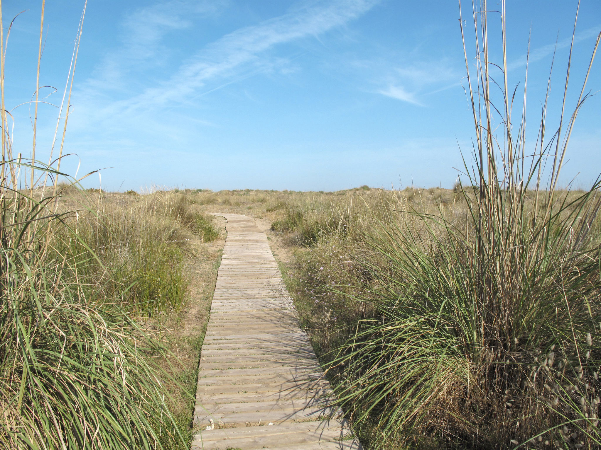 Luxuswohnung in Valencia Stadt
