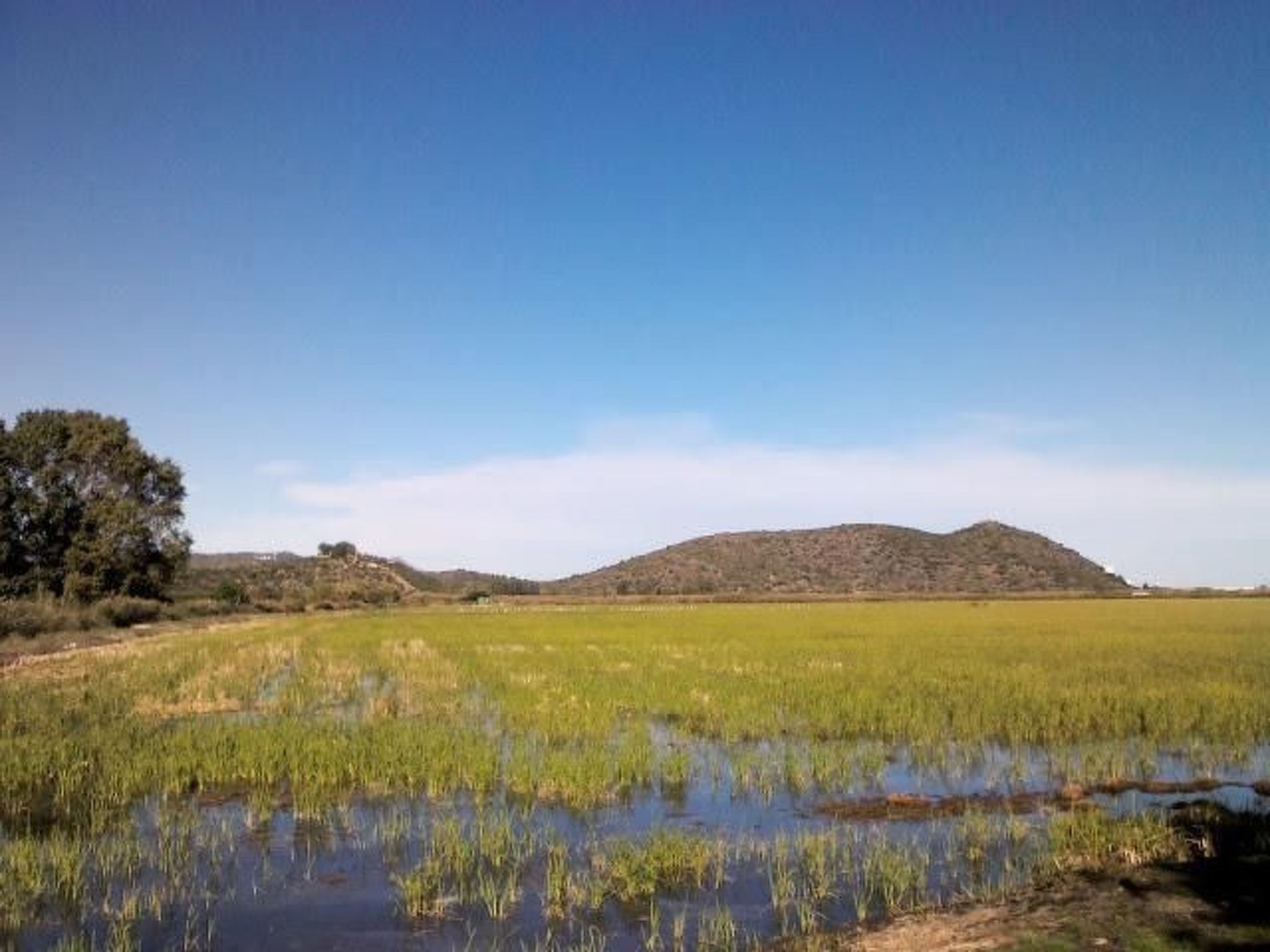 Villa im spanischen Stil mit großem Pool und ein-Draußen
