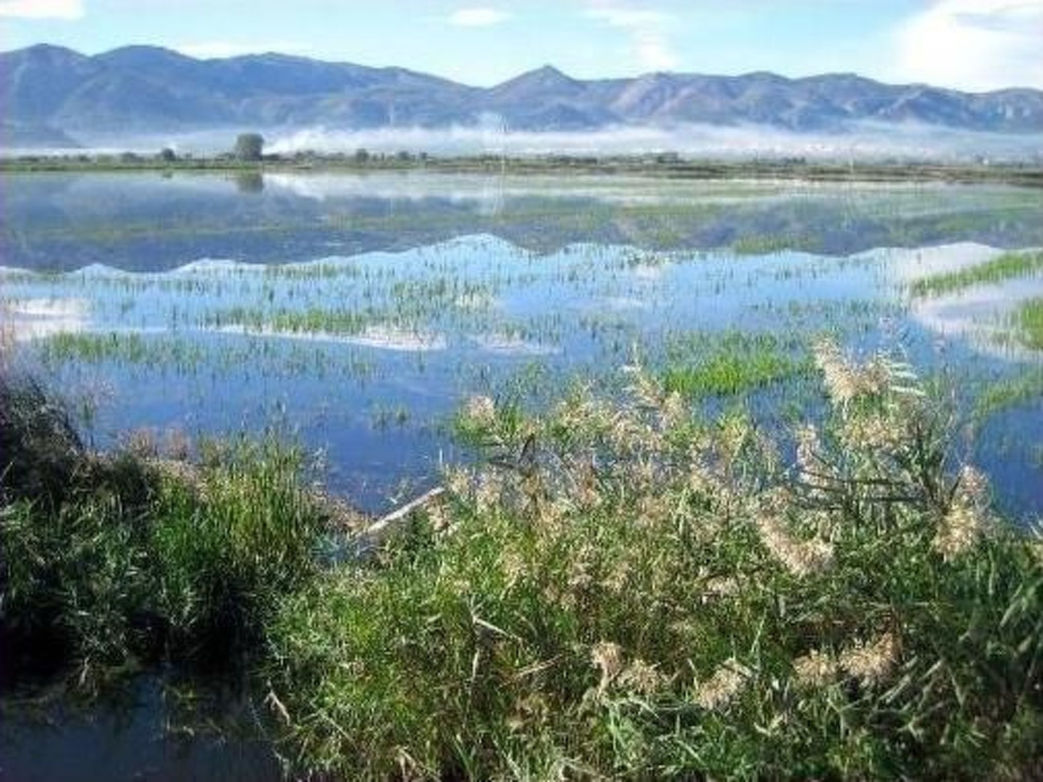 Villa im spanischen Stil mit großem Pool und ein