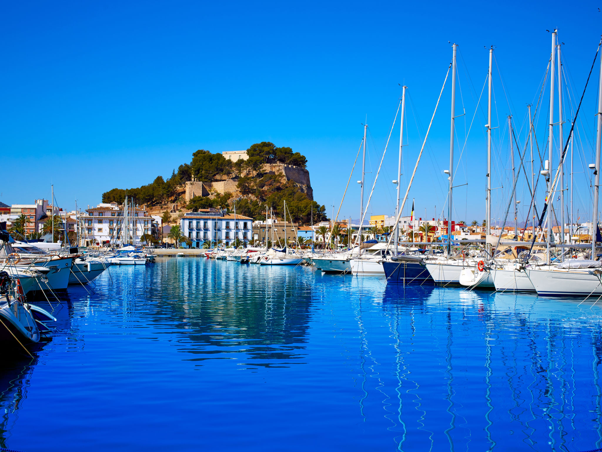 Marina Real III-Area