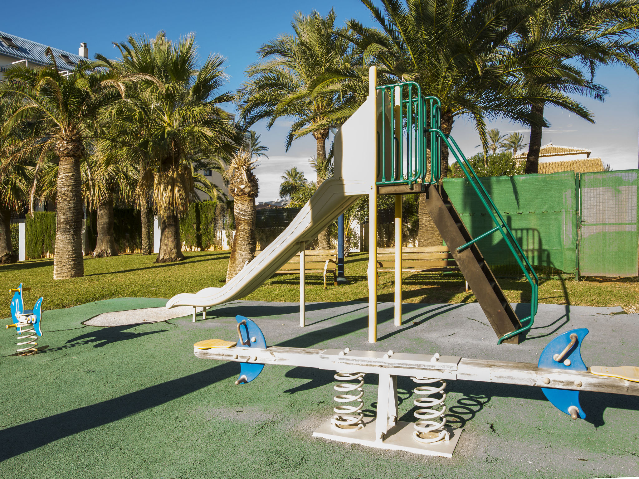 Photo of Sueno de Denia IV