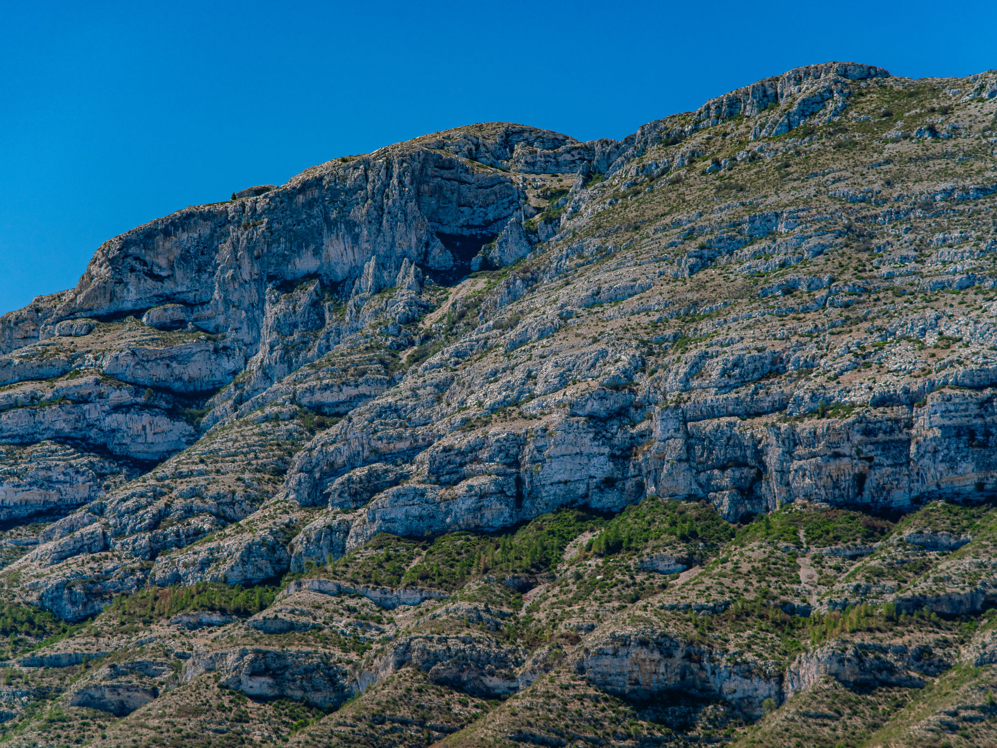 Photo of Marina Real I Penthouse