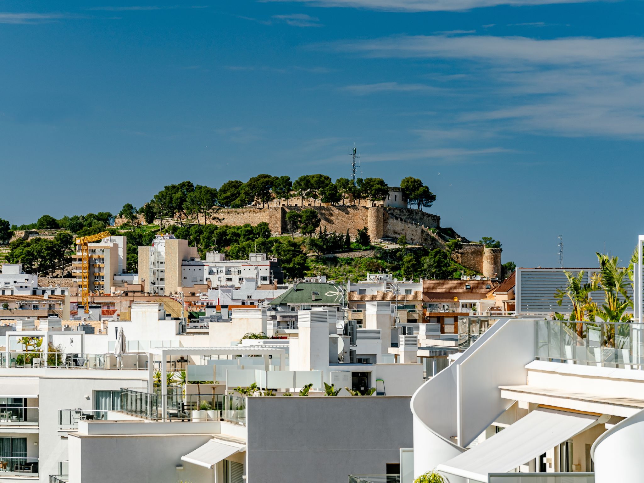 Photo of Marina Real I