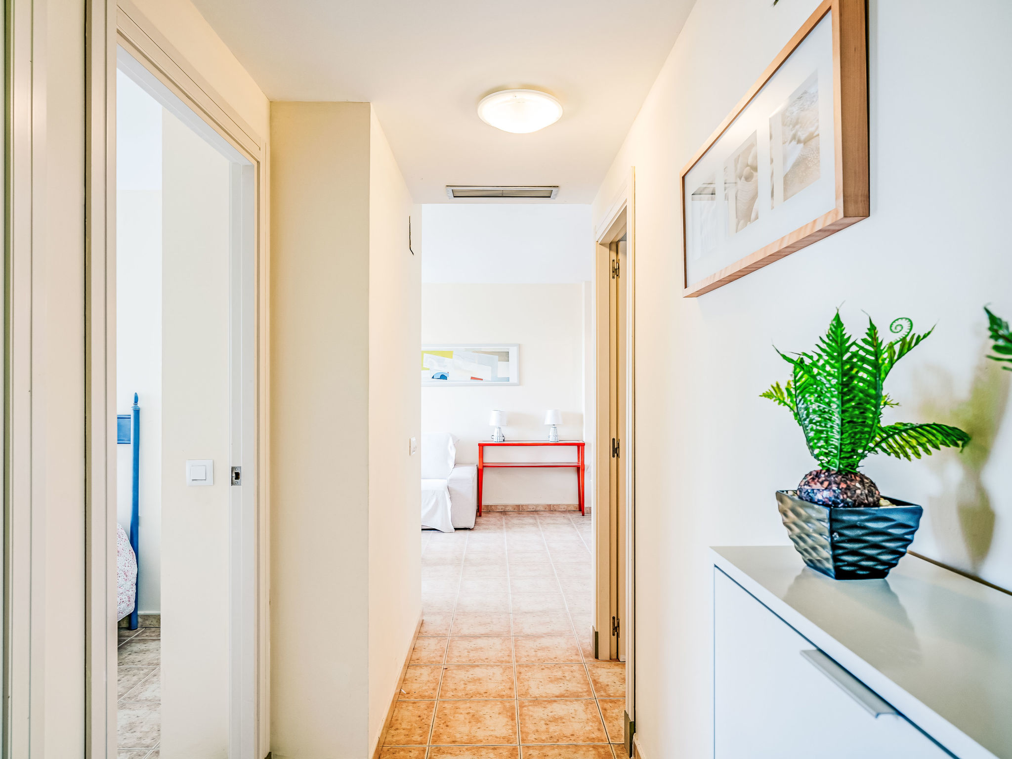 Photo of Denia Dream II