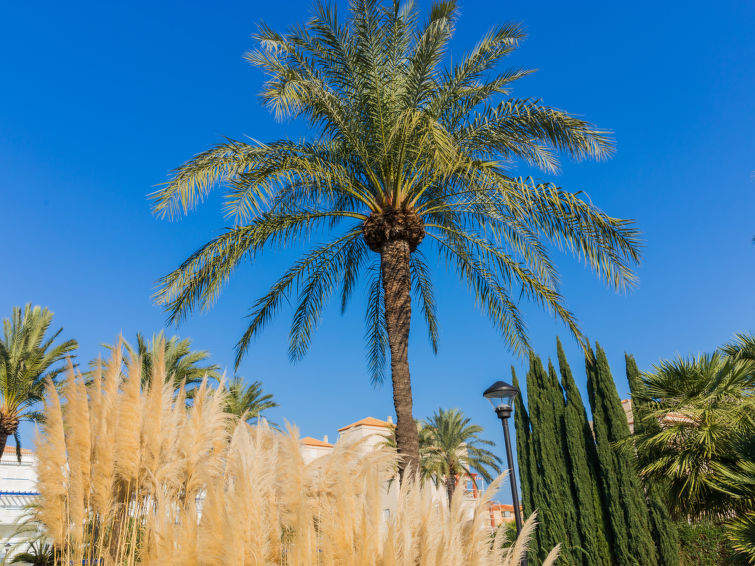 Photo of Cala Blanca Denia