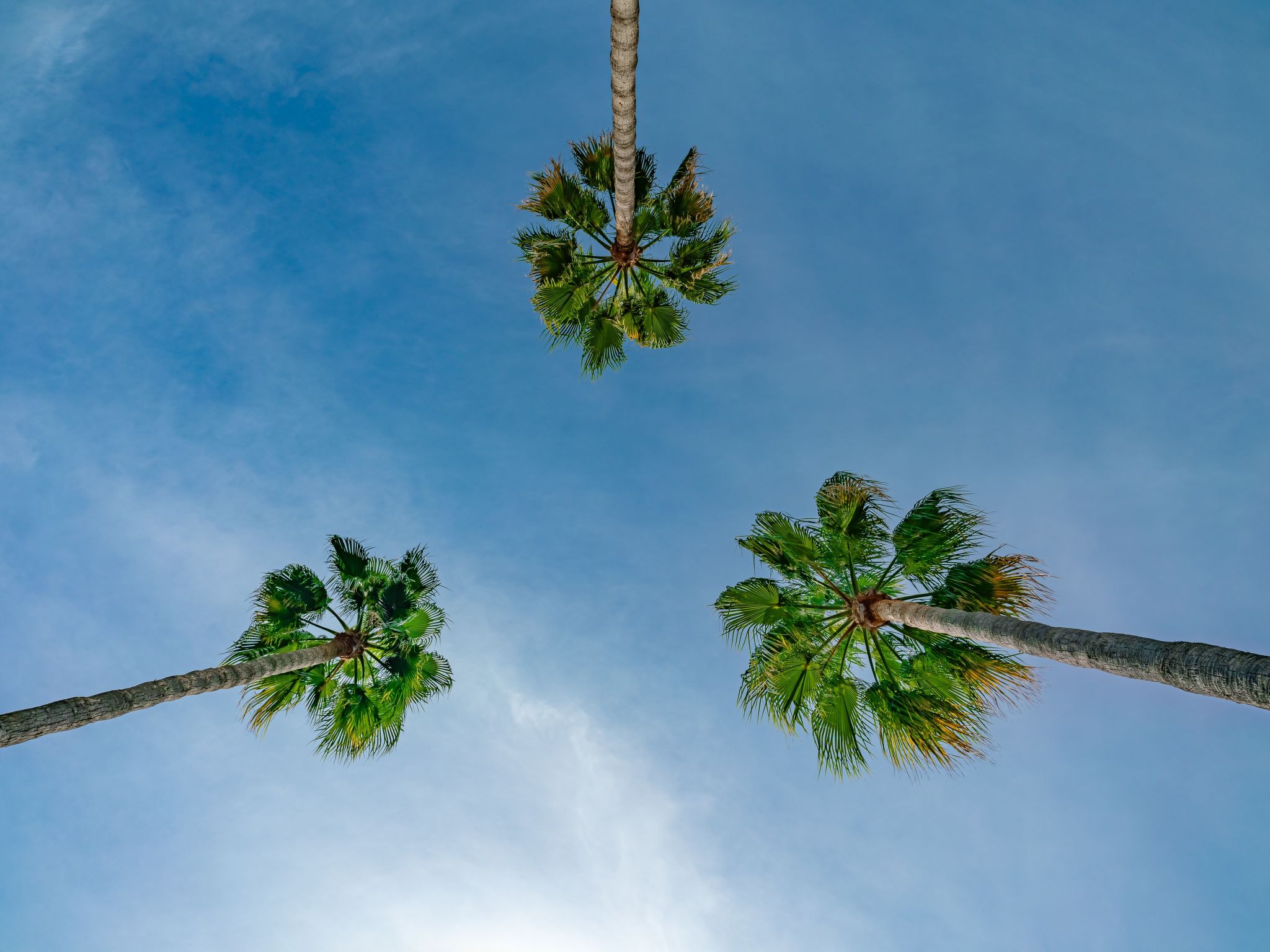 Photo of Villa Mi Sueno