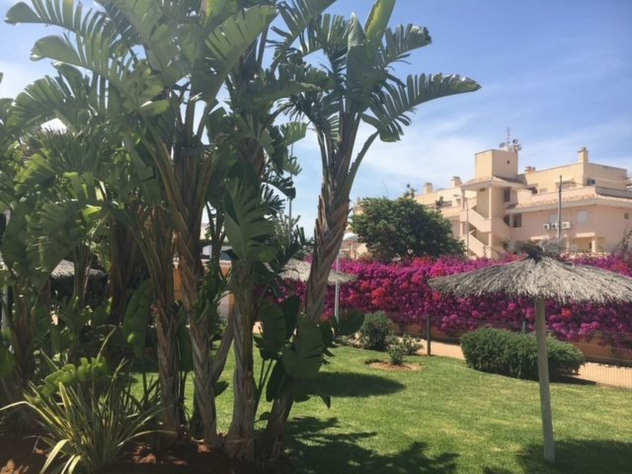 Entspannen in Aquamarinas-Dehors