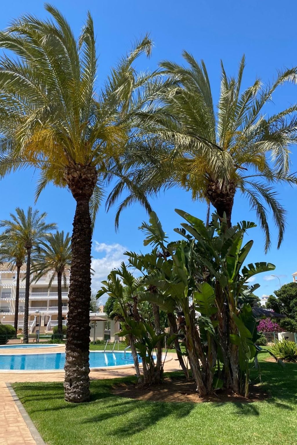 Photo of Entspannen in Aquamarinas