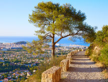 Apartamento Jardines de Denia VII