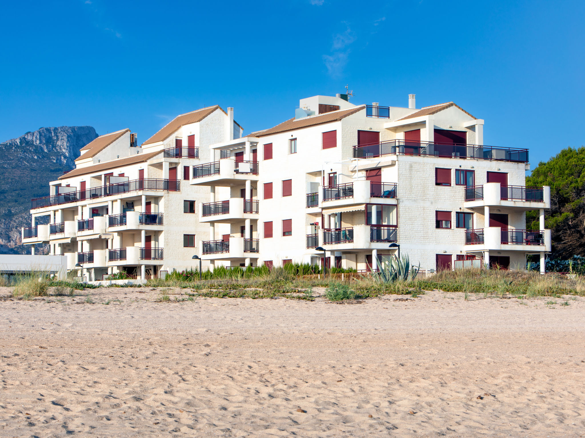 Photo of Jardines de Denia VII