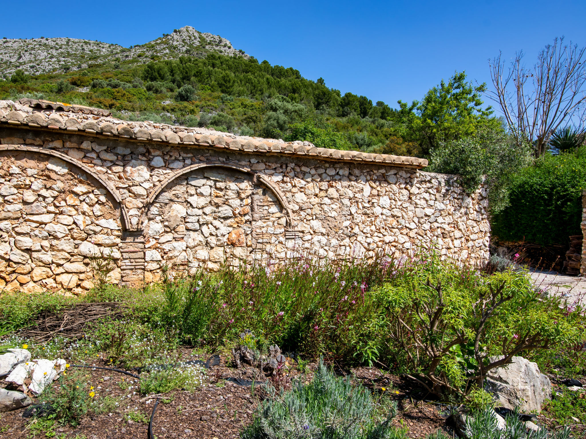 Photo of Villa Mandana