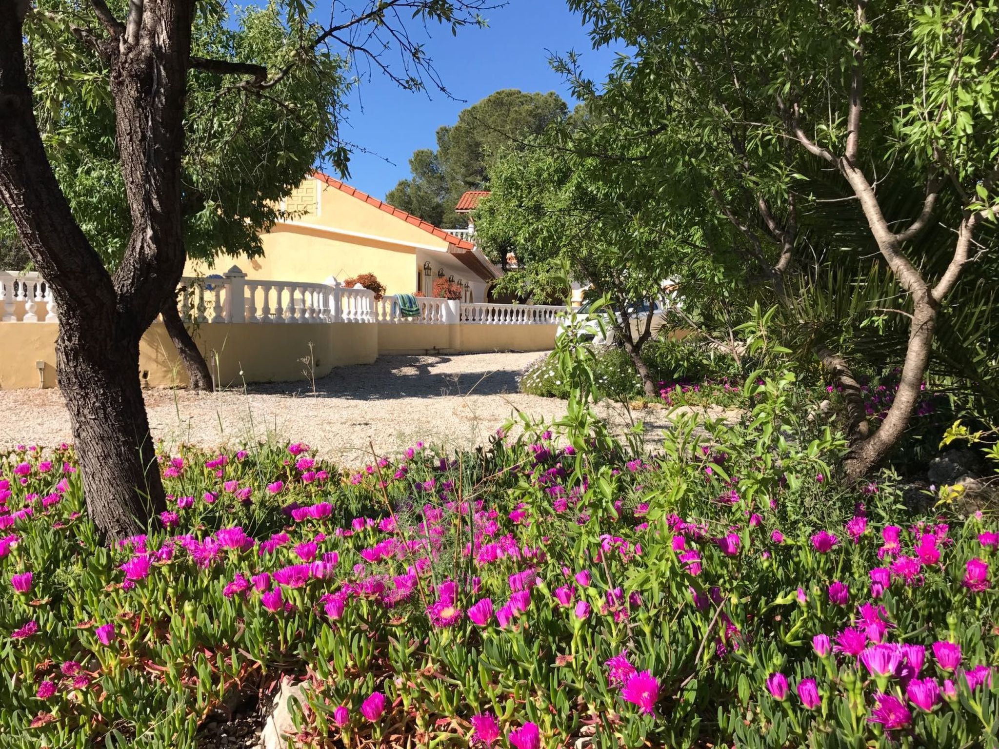 Finca Bilou, wo sich der Urlaub wie ein Heimkommen anfühlt-Binnen