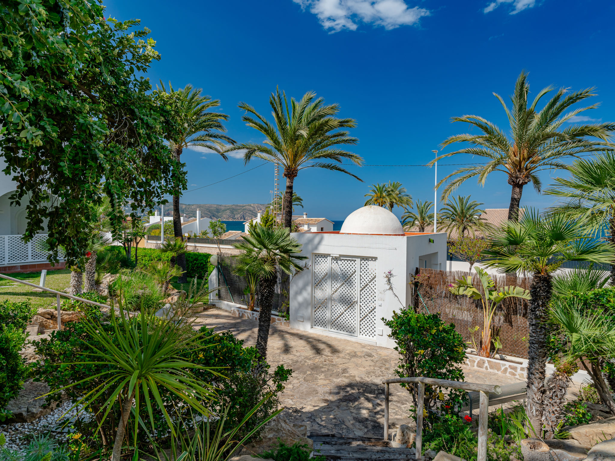 Oasis II